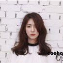 레인플라워 이미지