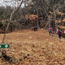 인천광역시 강화군 인천광역시 강화군 양사면사무소 이미지