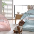 강아지네 애견하우스 이미지