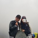 더원행정사사무소 이미지
