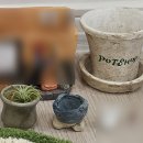 샵:플랜트+팟 | 샵:플랜트 팟