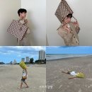 재찬 카카오 검색결과