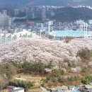 탄동천-1(유성-80) 이미지