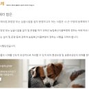 반려동물 장례식장 최신 비용과 허가 정보 총정리