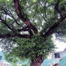 덕곡면보건지소 이미지