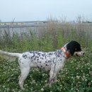 영포농장 이미지