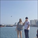 유승옥 카카오 검색결과