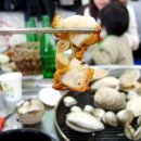 완도조개구이 이미지