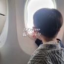 (주)제주국제여행사 | SK렌터카 빌리카 반납 제주공항 국내선 진에어항공 수속 후기