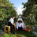 대한꽃농원 이미지