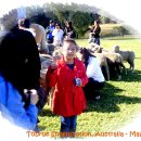 가빈농장 이미지