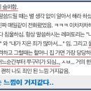 골드미스 네이버블로그