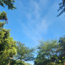 오늘, 제주 이미지