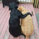 용인연세병원 이미지