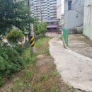 유영초등학교 이미지