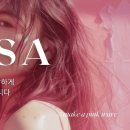 [KOTRA deXters 2025 1기] 2편: 기업 매칭 + 활동 시작