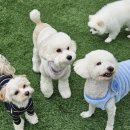 포근(FOGN) 이미지