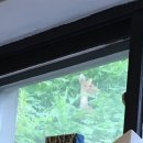 비천계곡펜션 이미지