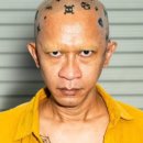 조코라인 | <고스트 인 더 셀(Ghost in the Cell)> 관람 후기