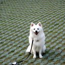 양정염포도서관 이미지