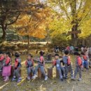 시립별숲어린이집 이미지