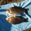 송전2리 이미지