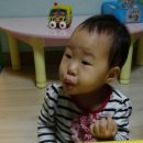 과일나라야채