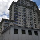 엘리시안강촌수영장 이미지