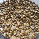 만천양지길 이미지