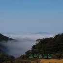 은서네민박 이미지