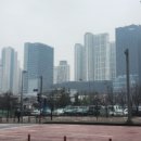 타워무역 이미지