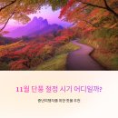 죽림정 | 11월 단풍 절정 시기 어디일까? 중년여행자를 위한 핫플 추천