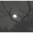 남산공원 일주로 이미지