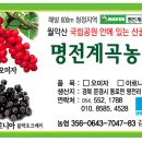 명전계곡 이미지