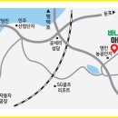 돌속농장 이미지