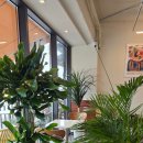 강변로 커피 이미지