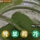 정만호새싹보리농장