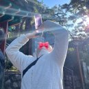 ITC태권도장 | [공지] ITC 가을 등산, 막걸리, 볼링으로 10년 젊어진 모임후기 (و ˃̵ᴗ˂̵)و