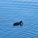 산책가는날 이미지