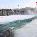 그물과물고기 이미지