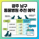 광주 본 동물병원 | 광주 남구 동물병원 추천 예약 사이트 바로가기 (+후기 비교)