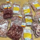 마이펫미트 이미지