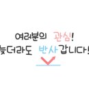 와플스타 이미지