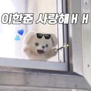 자용상사