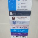 플레아드블랑(PLEA DE BLANC) 이미지