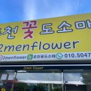 춘천최대 꽃집 조은생화에서 선물 후기
