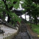 정승댁 Daum카페