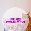 먼지없는 고양이모래 퓨리샤인 벤토나이트 모래