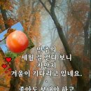 정훈이불 이미지