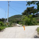 당산나무 공중화장실 이미지